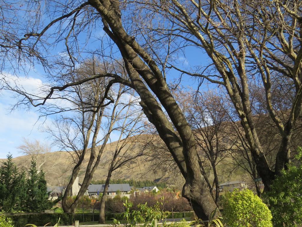 Altamont Lodge วานากา ภายนอก รูปภาพ